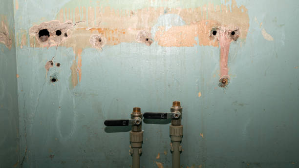 Best Ceiling water damage repair  in Harmony Grove, CA