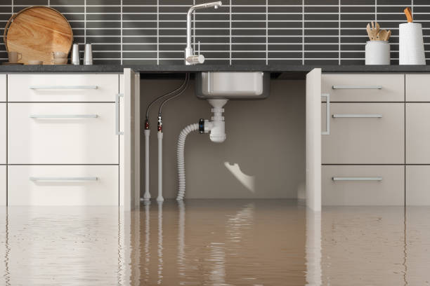 Best Emergency water damage restoration  in Harmony Grove, CA