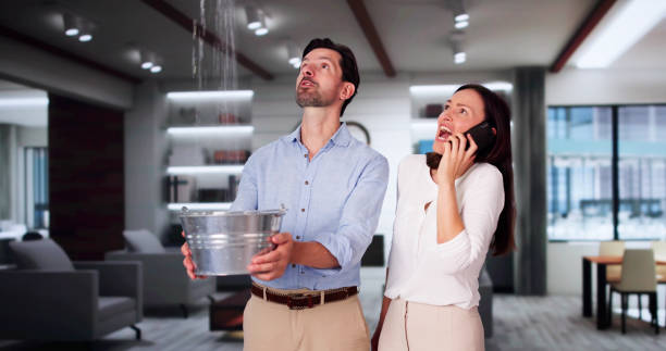 Best Sewage cleanup and water damage restoration  in Harmony Grove, CA